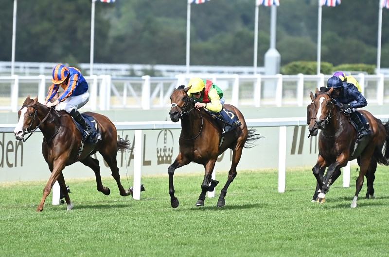 love ascot