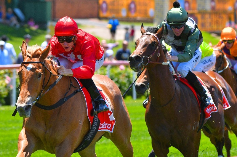 Bairnsdale Racing Tips For December 18