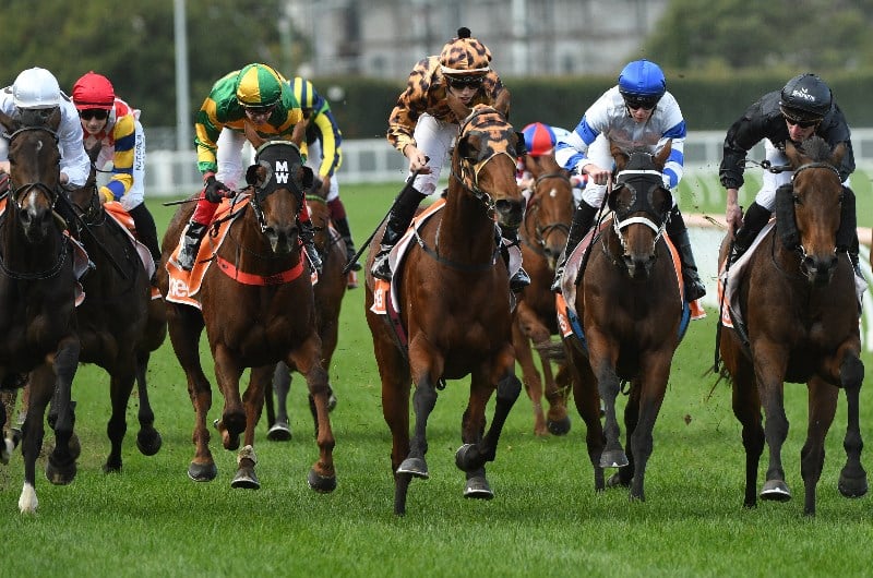 Caulfield Tips for 26.06.2021