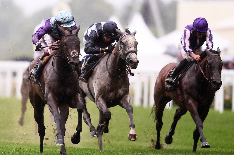 coronation stakes