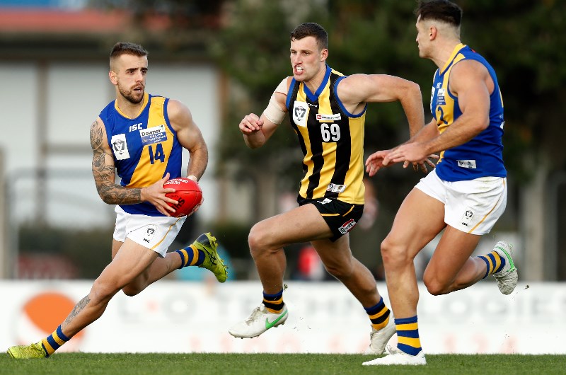 williamstown vfl