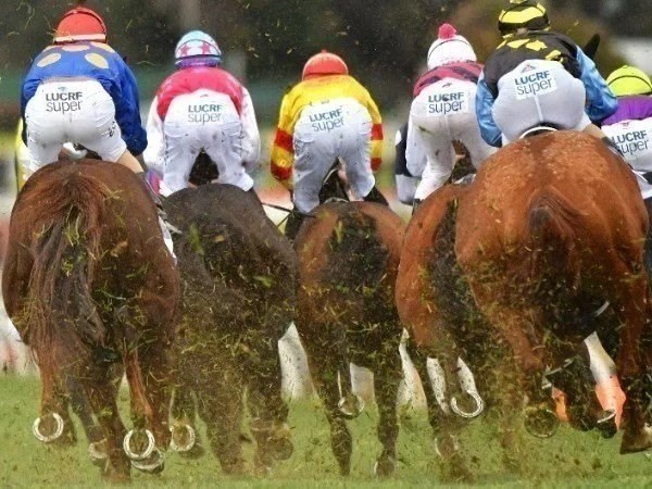 Belmont tips for 15.07.2020