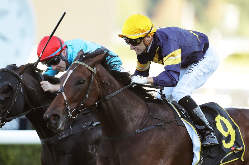Big Bets for 26.06.2021