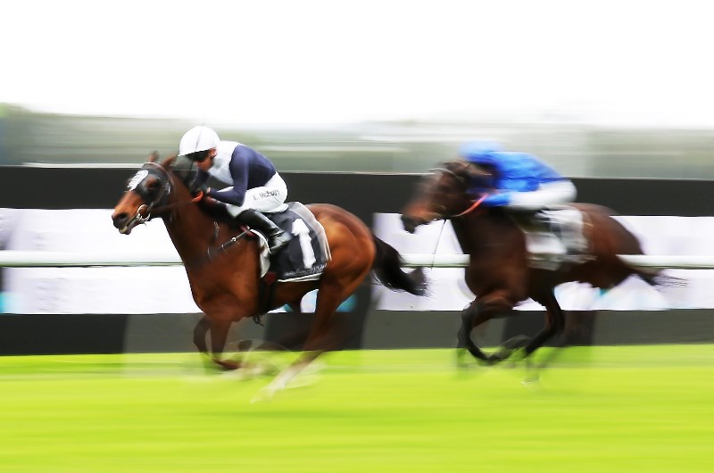 Weekend Racing Multi