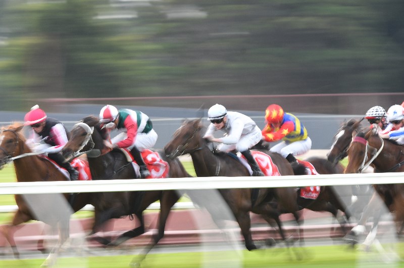 Werribee Betting Tips