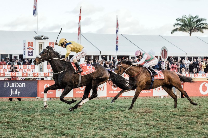 greyvillegreyville