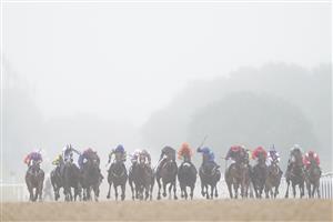 NEWCASTLE UPON TYNE, ENGLAND - JUNE 26: Runners and riders during the William Hill Pick Your Places Northumberland Vase Handicap race, during the William Hill Northumberland Plate Day at Newcastle Racecourse on June 26, 2021 in Newcastle upon Tyne, England. (Photo by Tim Goode - Pool/Getty Images)