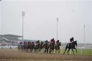 NEWCASTLE UPON TYNE, ENGLAND - JUNE 26: Runners and riders during the William Hill Pick Your Places Northumberland Vase Handicap race, during the William Hill Northumberland Plate Day at Newcastle Racecourse on June 26, 2021 in Newcastle upon Tyne, England. (Photo by Tim Goode - Pool/Getty Images)