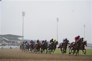 NEWCASTLE UPON TYNE, ENGLAND - JUNE 26: Runners and riders during the William Hill Pick Your Places Northumberland Vase Handicap race, during the William Hill Northumberland Plate Day at Newcastle Racecourse on June 26, 2021 in Newcastle upon Tyne, England. (Photo by Tim Goode - Pool/Getty Images)