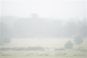 NEWCASTLE UPON TYNE, ENGLAND - JUNE 26: Runners and riders masked by the mist in the William Hill Build Your Odds Handicap race, during the William Hill Northumberland Plate Day at Newcastle Racecourse on June 26, 2021 in Newcastle upon Tyne, England. (Photo by Tim Goode - Pool/Getty Images)