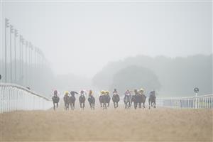 NEWCASTLE UPON TYNE, ENGLAND - JUNE 26: Runners and riders emerge from the mist in the williamhill.com Best Odds Guaranteed Handicap race, during the William Hill Northumberland Plate Day at Newcastle Racecourse on June 26, 2021 in Newcastle upon Tyne, England. (Photo by Tim Goode - Pool/Getty Images)