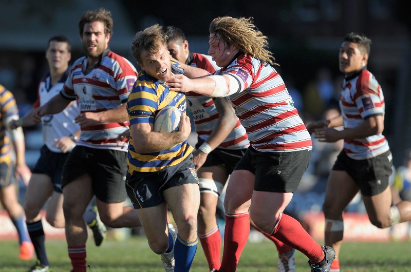 Shute Shield rugby
