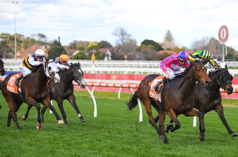 caulfield race 5
