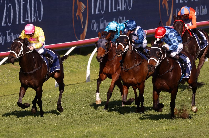 rosehill race 4