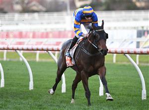 MELBOURNE, AUSTRALIA - JUNE 26: Declan Bates riding Corner Pocket winning race 8, the Neds Handicap, during Melbourne Racing at Caulfield Racecourse on June 26, 2021 in Melbourne, Australia. (Photo by Vince Caligiuri/Getty Images)