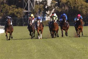 SYDNEY, AUSTRALIA - JUNE 26: Brenton Avdulla on Bandersnatch (black cap) wins race 6 the Taylor Civic Stakes during Sydney Racing at Rosehill Gardens on June 26, 2021 in Sydney, Australia. (Photo by Mark Evans/Getty Images)