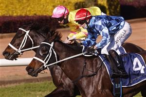 SYDNEY, AUSTRALIA - JUNE 26: Brenton Avdulla on Zing wins race 4 the Barry Cook Handicap during Sydney Racing at Rosehill Gardens on June 26, 2021 in Sydney, Australia. (Photo by Mark Evans/Getty Images)