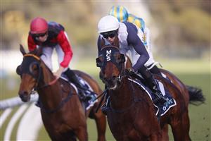 SYDNEY, AUSTRALIA - JUNE 26: Brenton Avdulla on Sweet Thomas (whie cap), wins race 3 the Bookmakers Recognition Day Stayers Cupduring Sydney Racing at Rosehill Gardens on June 26, 2021 in Sydney, Australia. (Photo by Mark Evans/Getty Images)