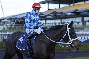 SYDNEY, AUSTRALIA - JUNE 26: Brenton Avdulla on Zing returns to scale after winning race 4 the Barry Cook Handicap during Sydney Racing at Rosehill Gardens on June 26, 2021 in Sydney, Australia. (Photo by Mark Evans/Getty Images)