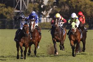 SYDNEY, AUSTRALIA - JUNE 26: Brenton Avdulla on Bandersnatch (black cap) wins race 6 the Taylor Civic Stakes during Sydney Racing at Rosehill Gardens on June 26, 2021 in Sydney, Australia. (Photo by Mark Evans/Getty Images)