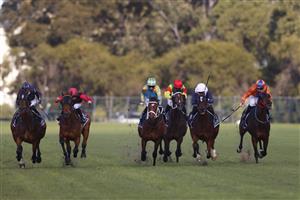SYDNEY, AUSTRALIA - JUNE 26: Brenton Avdulla on Sweet Thomas (whie cap), wins race 3 the Bookmakers Recognition Day Stayers Cupduring Sydney Racing at Rosehill Gardens on June 26, 2021 in Sydney, Australia. (Photo by Mark Evans/Getty Images)