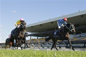 SYDNEY, AUSTRALIA - JUNE 26: Brenton Avdulla on Zing wins race 4 the Barry Cook Handicap during Sydney Racing at Rosehill Gardens on June 26, 2021 in Sydney, Australia. (Photo by Mark Evans/Getty Images)