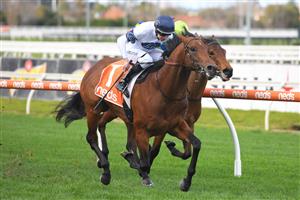 MELBOURNE, AUSTRALIA - JUNE 26: Damian Lane riding Malkovich winning Race 3, the Neds Toolbox Handicap, during Melbourne Racing at Caulfield Racecourse on June 26, 2021 in Melbourne, Australia. (Photo by Vince Caligiuri/Getty Images)