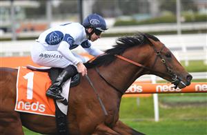 MELBOURNE, AUSTRALIA - JUNE 26: Damian Lane riding Malkovich winning Race 3, the Neds Toolbox Handicap, during Melbourne Racing at Caulfield Racecourse on June 26, 2021 in Melbourne, Australia. (Photo by Vince Caligiuri/Getty Images)