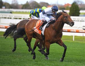 MELBOURNE, AUSTRALIA - JUNE 26: Damian Lane riding Malkovich winning Race 3, the Neds Toolbox Handicap, during Melbourne Racing at Caulfield Racecourse on June 26, 2021 in Melbourne, Australia. (Photo by Vince Caligiuri/Getty Images)