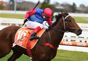 MELBOURNE, AUSTRALIA - JUNE 26: Dean Yendall riding Hai Sun winning Race 2, the Neds Protest Payout Handicap, during Melbourne Racing at Caulfield Racecourse on June 26, 2021 in Melbourne, Australia. (Photo by Vince Caligiuri/Getty Images)