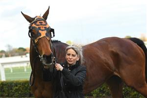MELBOURNE, AUSTRALIA - JUNE 26: No Effort after winning Race 7, the Neds Same Race Multi Handicap, during Melbourne Racing at Caulfield Racecourse on June 26, 2021 in Melbourne, Australia. (Photo by Vince Caligiuri/Getty Images)