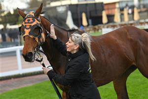 MELBOURNE, AUSTRALIA - JUNE 26: No Effort after winning Race 7, the Neds Same Race Multi Handicap, during Melbourne Racing at Caulfield Racecourse on June 26, 2021 in Melbourne, Australia. (Photo by Vince Caligiuri/Getty Images)