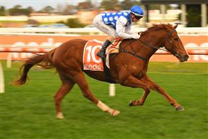 MELBOURNE, AUSTRALIA - JUNE 26: Jamie Kah riding Pintoff winning Race 9, the Neds Filter Form Handicap, during Melbourne Racing at Caulfield Racecourse on June 26, 2021 in Melbourne, Australia. (Photo by Vince Caligiuri/Getty Images)