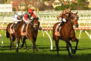 MELBOURNE, AUSTRALIA - JUNE 26: Lachlan King riding No Effort winning Race 7, the Neds Same Race Multi Handicap, during Melbourne Racing at Caulfield Racecourse on June 26, 2021 in Melbourne, Australia. (Photo by Vince Caligiuri/Getty Images)