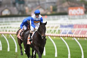 MELBOURNE, AUSTRALIA - JUNE 26: Mark Zahra riding Jigsaw winning Race 1, the Unleash Your Neds Toolbox Handicap, during Melbourne Racing at Caulfield Racecourse on June 26, 2021 in Melbourne, Australia. (Photo by Vince Caligiuri/Getty Images)