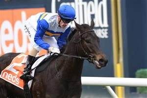 MELBOURNE, AUSTRALIA - JUNE 26: Mark Zahra riding Jigsaw winning Race 1, the Unleash Your Neds Toolbox Handicap, during Melbourne Racing at Caulfield Racecourse on June 26, 2021 in Melbourne, Australia. (Photo by Vince Caligiuri/Getty Images)