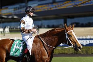 SYDNEY, AUSTRALIA - JUNE 26: Regan Bayliss on Zoo Station returns to scale after winning race 2 the TAB Highway Class 2 Handicap during Sydney Racing at Rosehill Gardens on June 26, 2021 in Sydney, Australia. (Photo by Mark Evans/Getty Images)