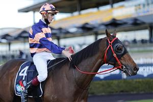 SYDNEY, AUSTRALIA - JUNE 26: Regan Bayliss on Brutality returns to scale after winning race 7 the Keith Free OAM Handicap during Sydney Racing at Rosehill Gardens on June 26, 2021 in Sydney, Australia. (Photo by Mark Evans/Getty Images)