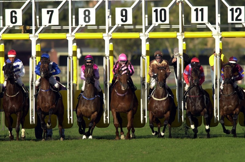 Eagle Farm Betting Tips