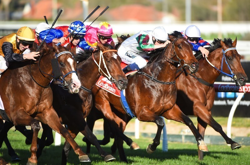 Northam Racing Tips for 27.11.2019