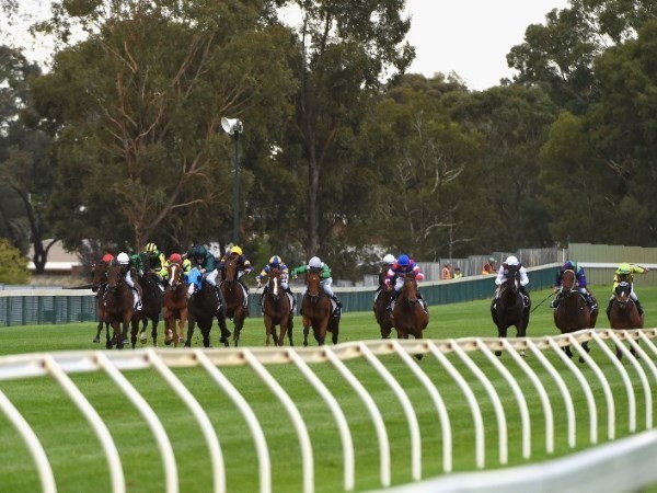 bendigo tips
