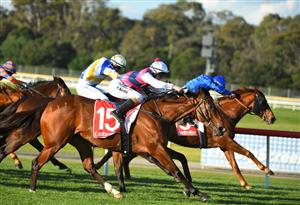 MELBOURNE, AUSTRALIA - JUNE 30: Alana Kelly riding Lady D'oro winning Race 7, the Ladbrokes Same Race Multi Handicap, during Melbourne Racing at Sandown Lakeside on June 30, 2021 in Melbourne, Australia. (Photo by Vince Caligiuri/Getty Images)
