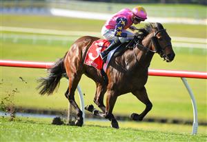 MELBOURNE, AUSTRALIA - JUNE 30: Matthew Cartwright riding Can't Be Done winning race 5, the Ladbrokes Bet Ticker Handicap, during Melbourne Racing at Sandown Lakeside on June 30, 2021 in Melbourne, Australia. (Photo by Vince Caligiuri/Getty Images)