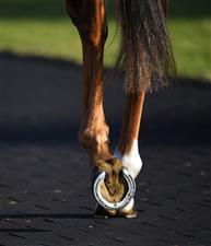 MELBOURNE, AUSTRALIA - JUNE 30: A horses hooves are seen parading in the mounting yard during Melbourne Racing at Sandown Lakeside on June 30, 2021 in Melbourne, Australia. (Photo by Vince Caligiuri/Getty Images)