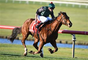 MELBOURNE, AUSTRALIA - JUNE 30: Billy Egan riding D'aguilar winning race 8, the Ladbrokes Blended Multi Handicap, during Melbourne Racing at Sandown Lakeside on June 30, 2021 in Melbourne, Australia. (Photo by Vince Caligiuri/Getty Images)
