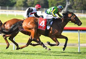 MELBOURNE, AUSTRALIA - JUNE 30: Mark Zahra riding Nerve Not Verve winning Race 4, the Ladbrokes Easy Form Handicap, during Melbourne Racing at Sandown Lakeside on June 30, 2021 in Melbourne, Australia. (Photo by Vince Caligiuri/Getty Images)