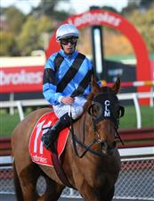 MELBOURNE, AUSTRALIA - JUNE 30: Michael Dee riding Smokin' Romans after winning race 6, the Mrc Membership Renewal Handicap, during Melbourne Racing at Sandown Lakeside on June 30, 2021 in Melbourne, Australia. (Photo by Vince Caligiuri/Getty Images)