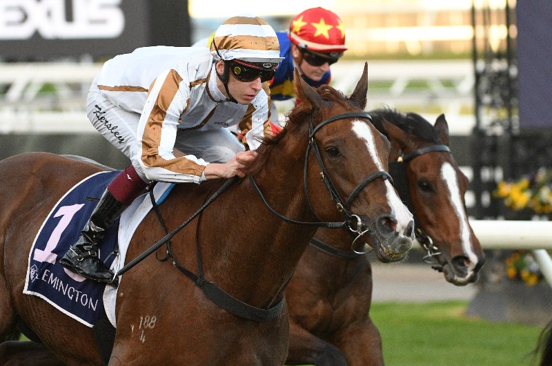 Flemington Betting Tips