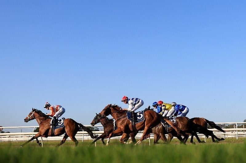 Muswellbrook Tips for 05.01.2020