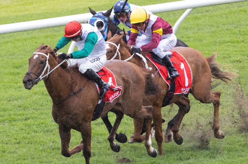 Rosehill Tips for 03.07.2021